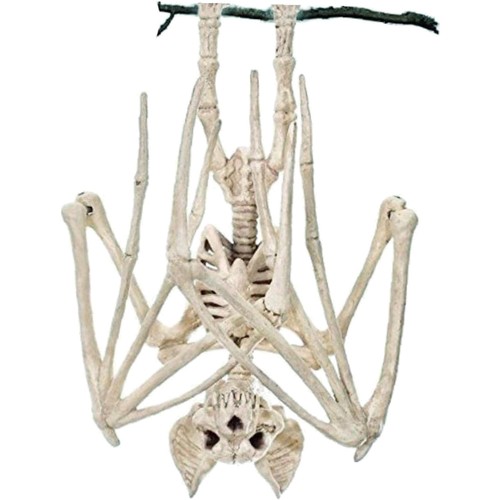 Halloween fledermaus skelett - halloween,